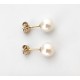 Boucles d'oreilles or et perles Akoya
