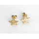 Boucles d'oreille puces or jaune